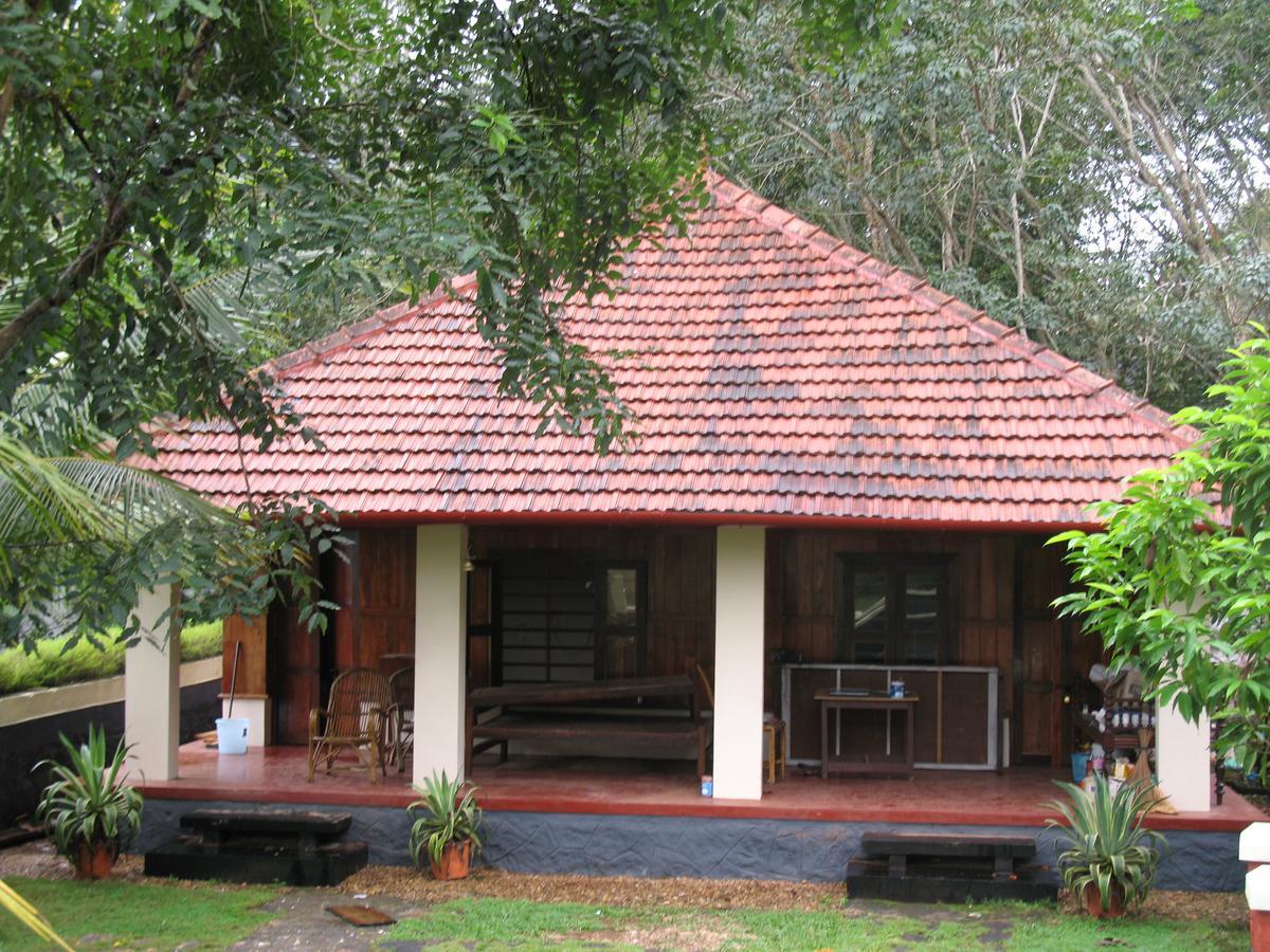 Bio Veda Ayurvedic Hill Resort Kovillur Номер фото