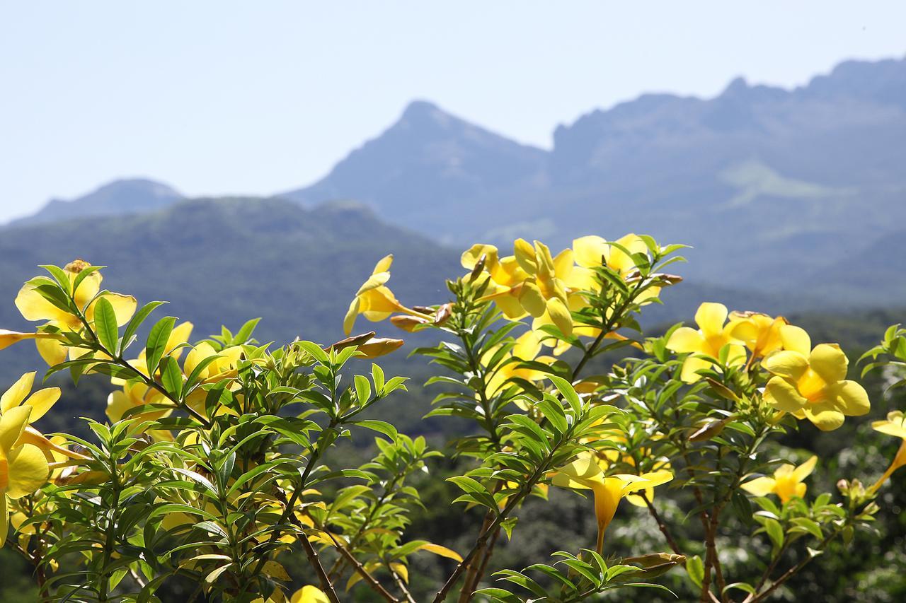 Bio Veda Ayurvedic Hill Resort Kovillur Экстерьер фото