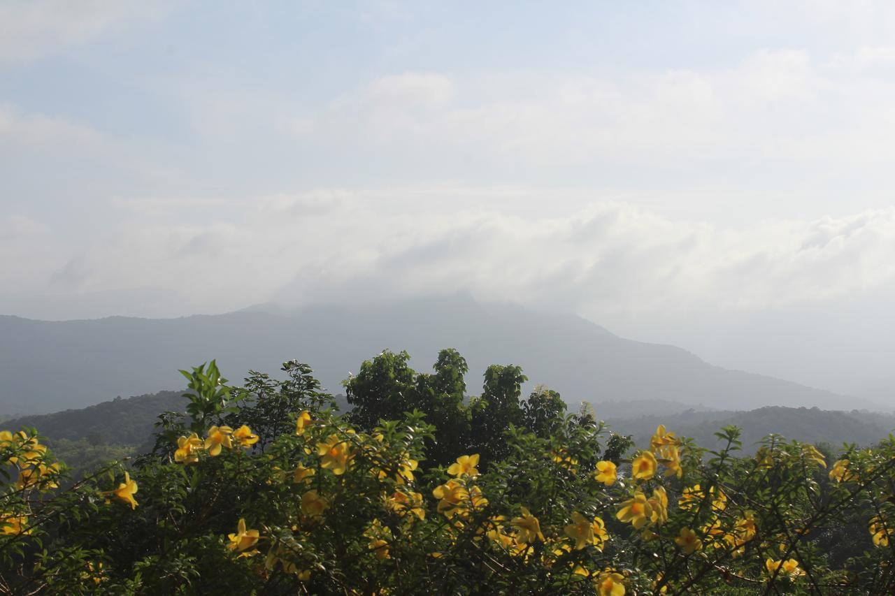Bio Veda Ayurvedic Hill Resort Kovillur Экстерьер фото